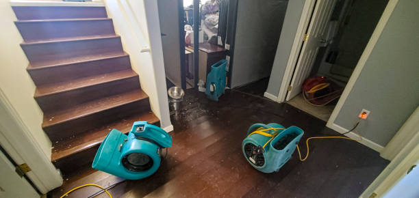 Best 24-hour water damage restoration  in Crestwood Village, NJ