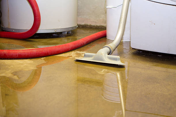 Best Professional water damage repair  in Crestwood Village, NJ