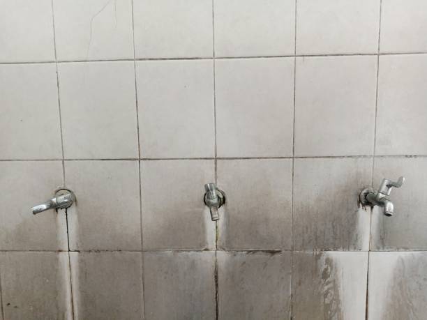Best Local water damage restoration  in Crestwood Village, NJ