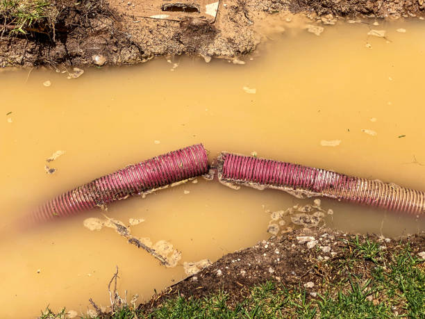 Local water damage restoration in Crestwood Village, NJ