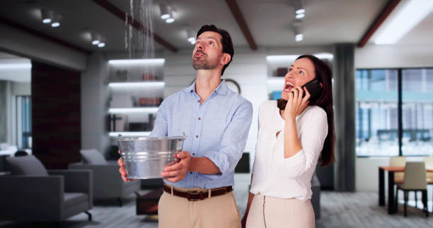 Best Sewage cleanup and water damage restoration  in Crestwood Village, NJ