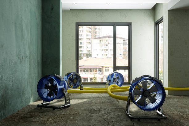 Best Carpet water damage restoration  in Crestwood Village, NJ
